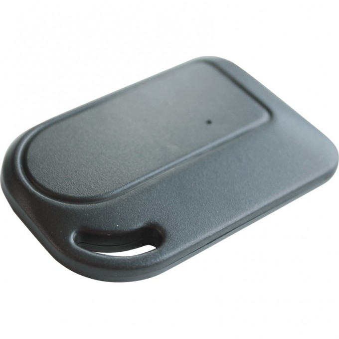 Брелок PANDORA IS-250/350 4908